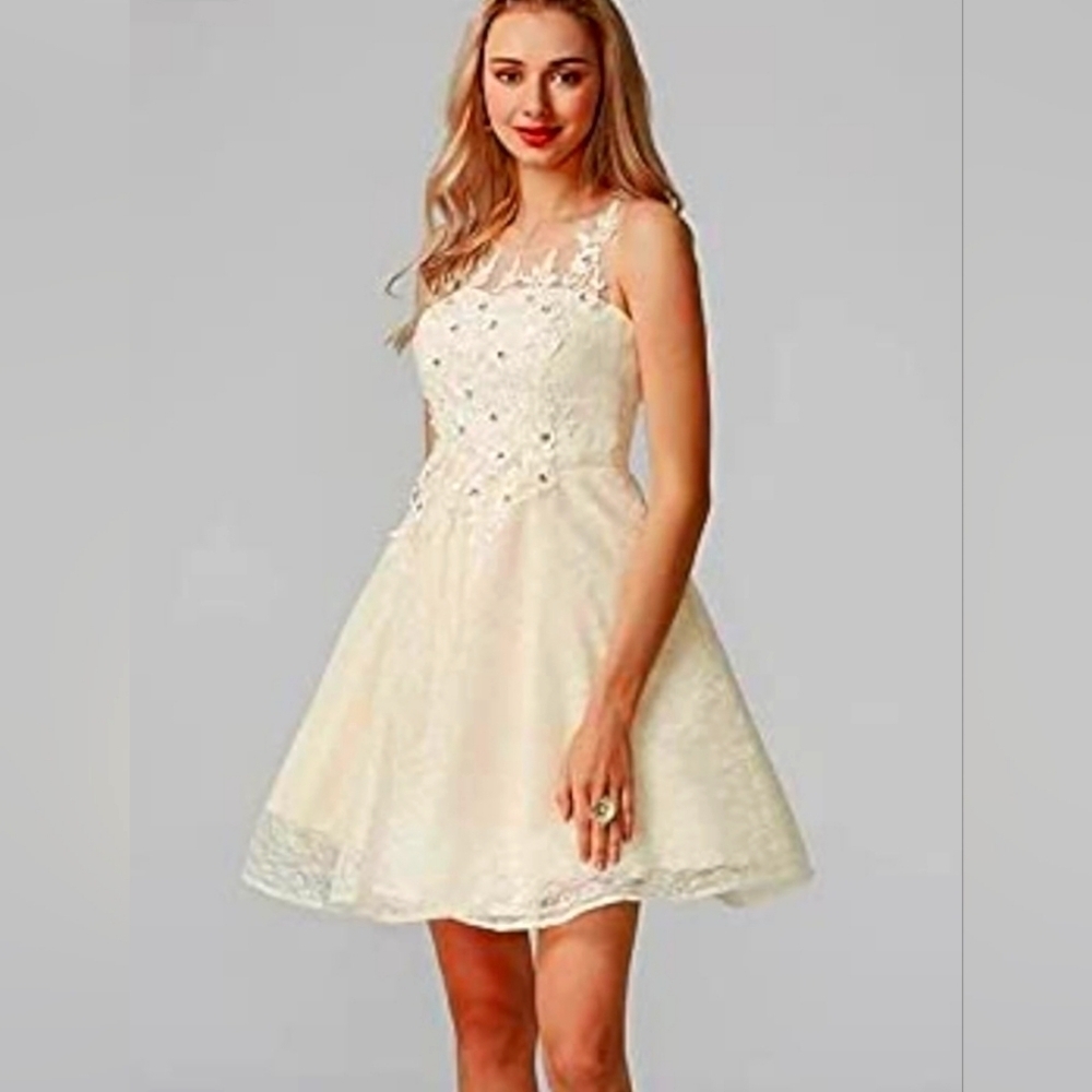 TS COUTURE Women's Size 2/4 Sleeveless Dress, Lined, Tulle skirt, Embroiโฆ